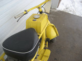 Cushman Trailster Great Collector Item